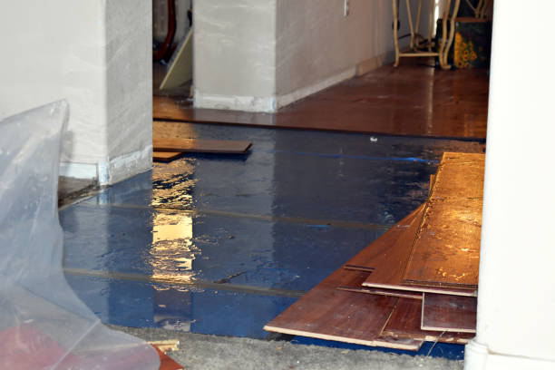Professional Burst Pipe Cleanup technician working in Greenville, NH